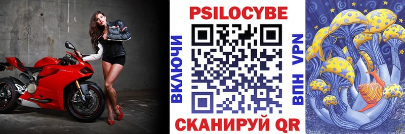 хочу   MEGA ссылка  Галлюциногенные грибы Psilocybe  Полесск 